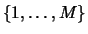 $\{1,\ldots,M\}$